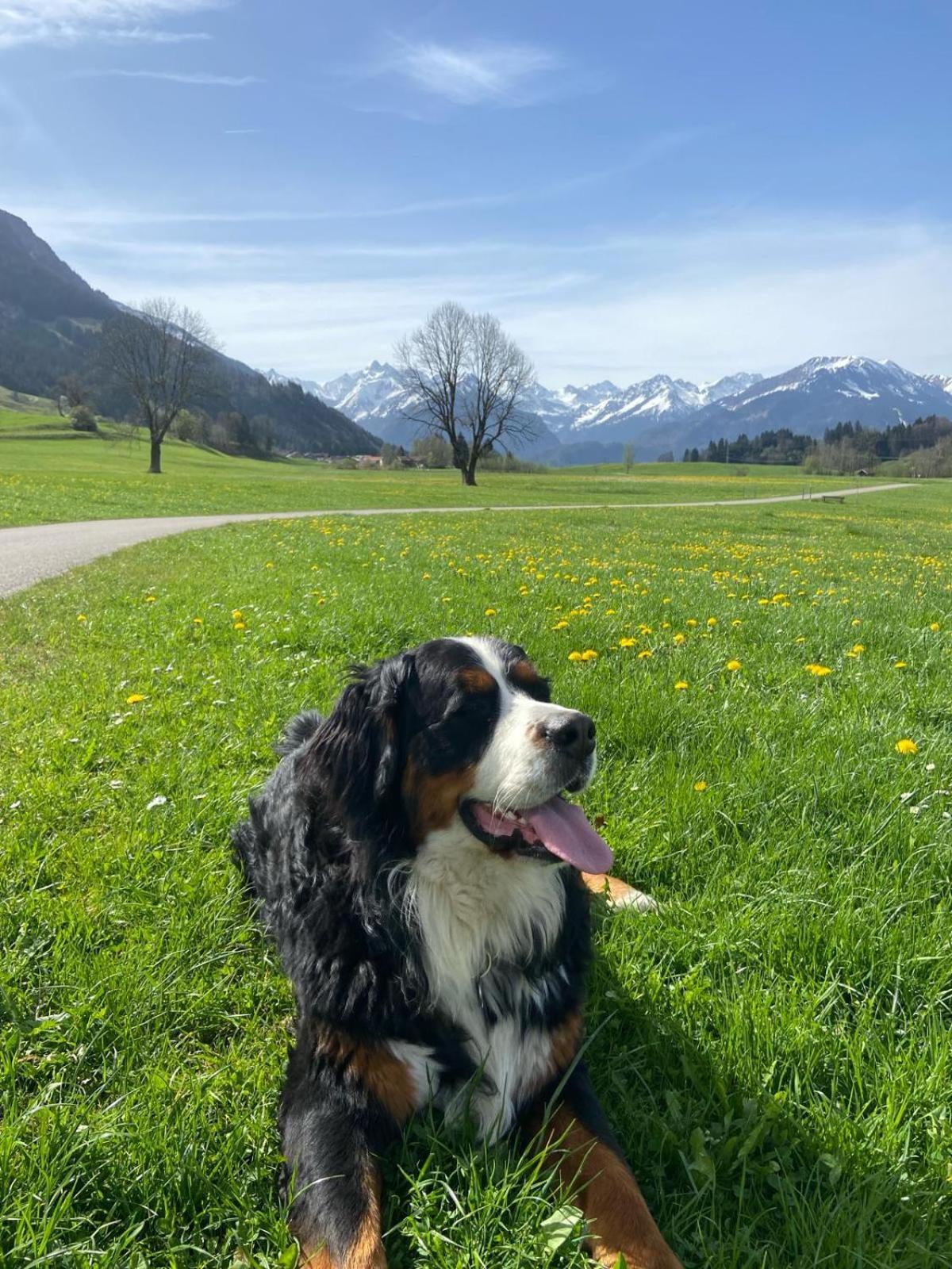 Hemerhof - Ferienwohnungen Oberstdorf Esterno foto