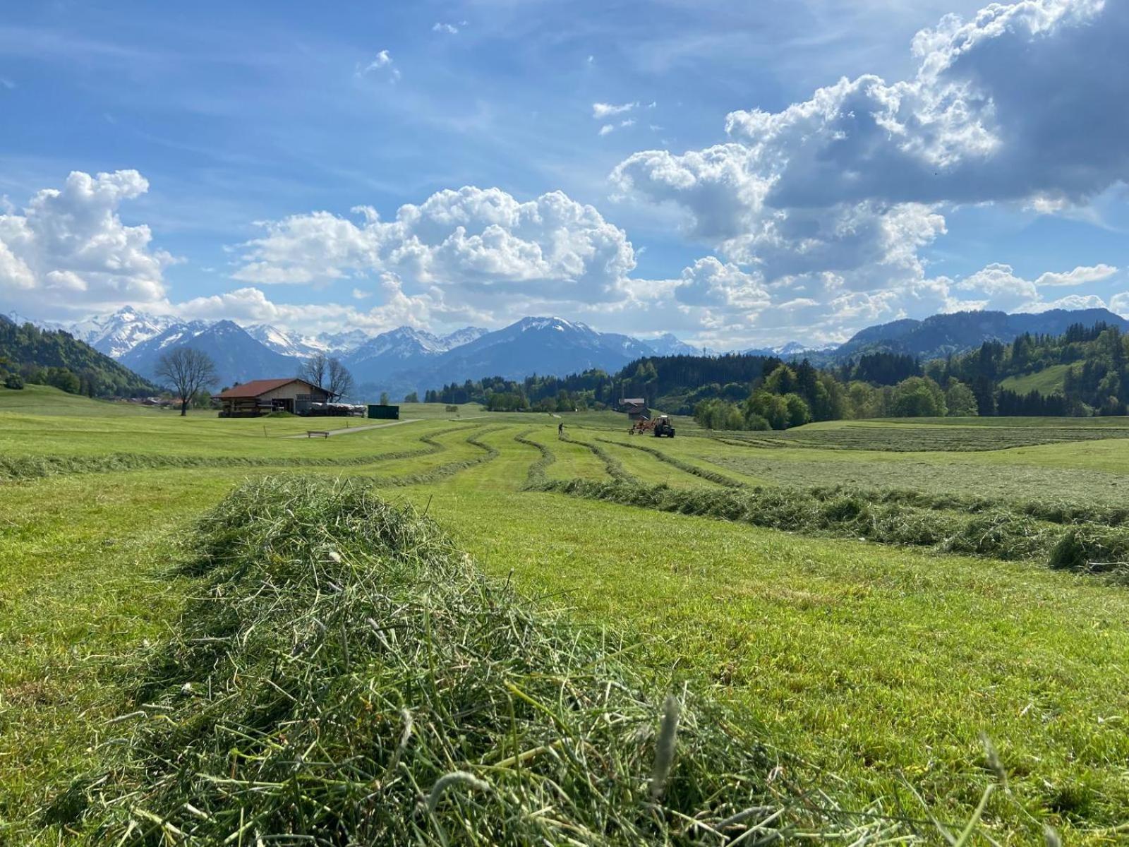 Hemerhof - Ferienwohnungen Oberstdorf Esterno foto
