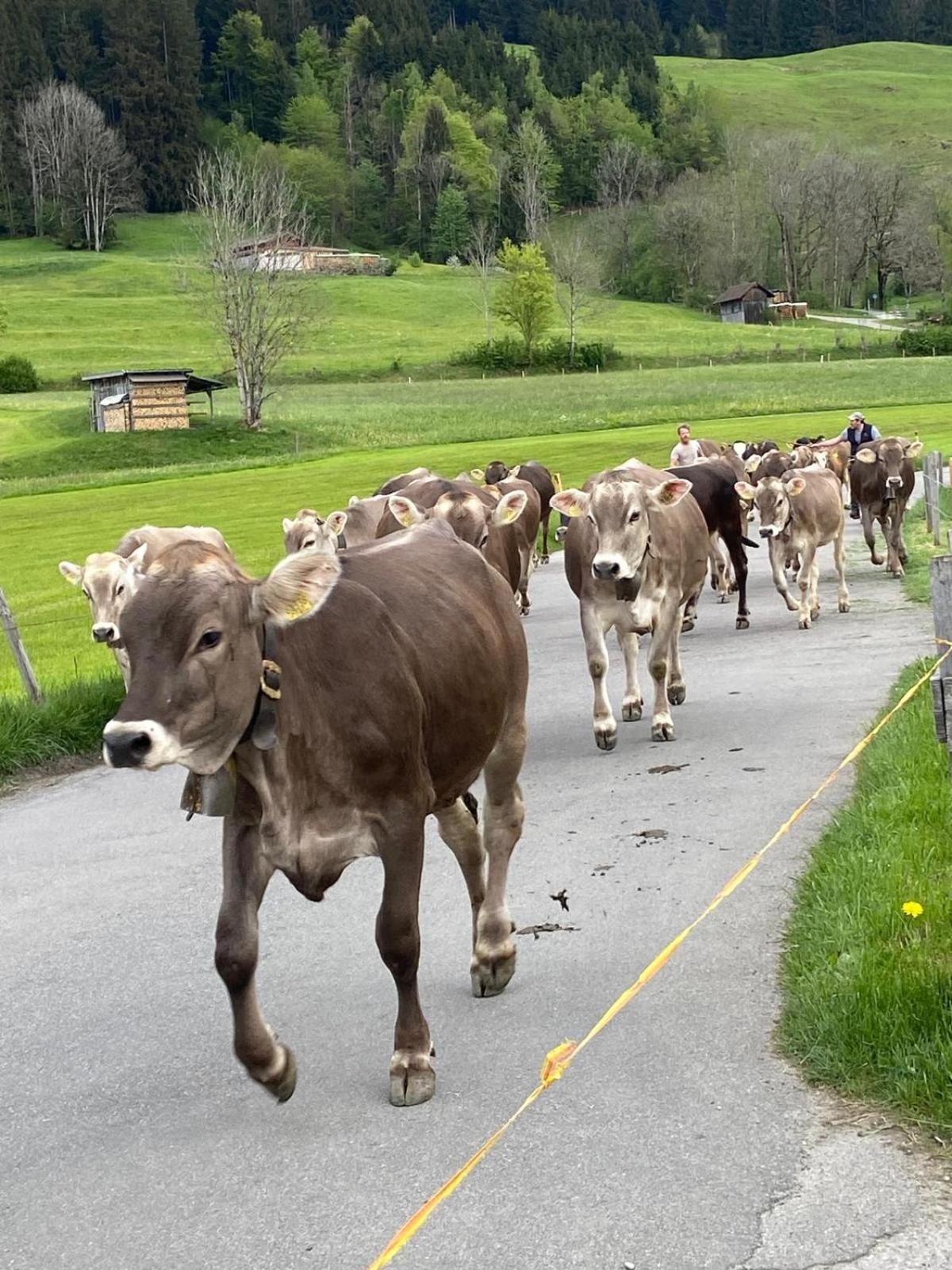 Hemerhof - Ferienwohnungen Oberstdorf Esterno foto